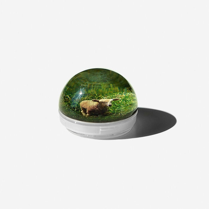 BubbleSoap Marchen Fur Kinder Hemisphere Griptok