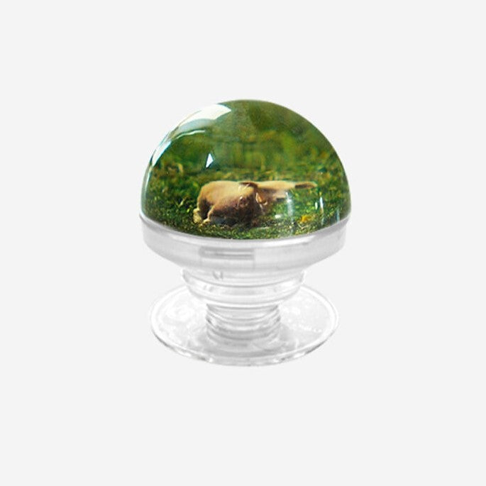 BubbleSoap Marchen Fur Kinder Hemisphere Griptok