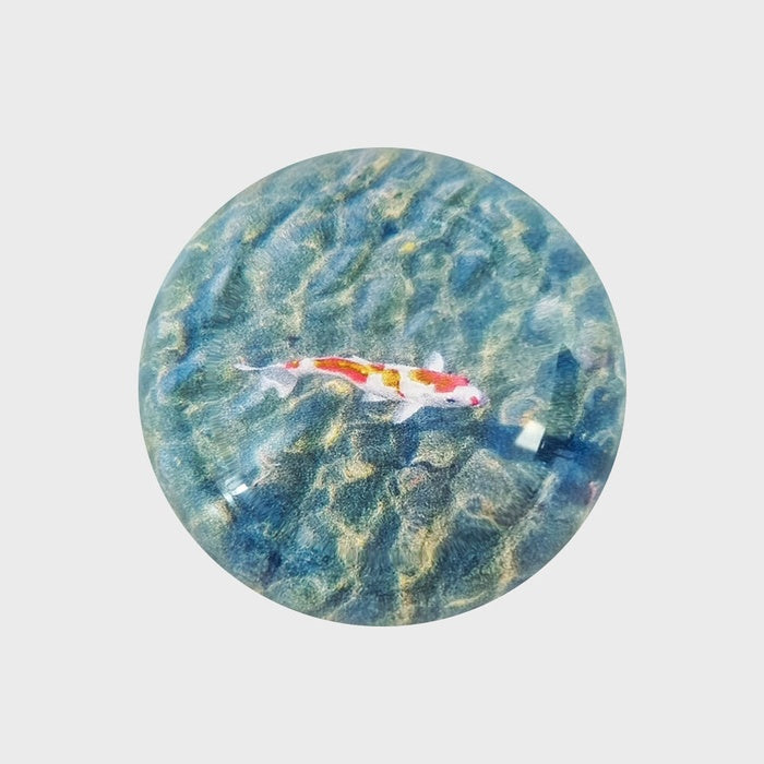 BubbleSoap Gold Fish Hemisphere Griptok
