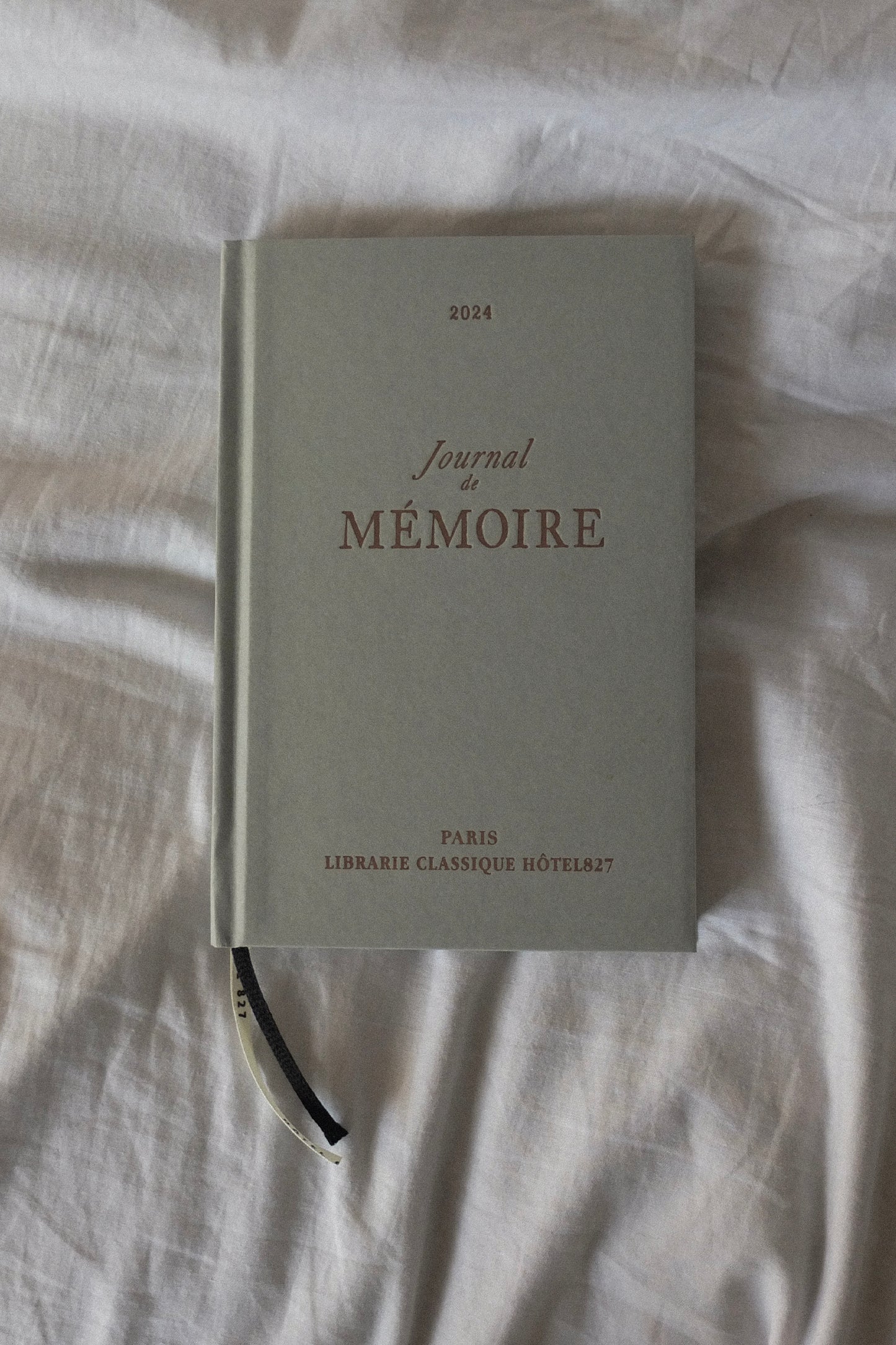Hotel 827 24 Old Book Diary (Paper-Rain)